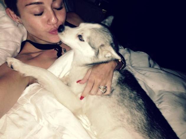 Miley Cyrus dog floyd