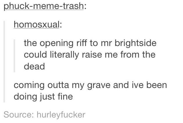 Mr Brightside Memes 3