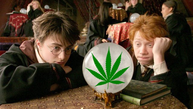 harry potter weed