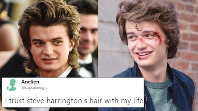 The Internet Has Turned Steve Harrington's Hair Into A Meme And It's  Glorious - PopBuzz