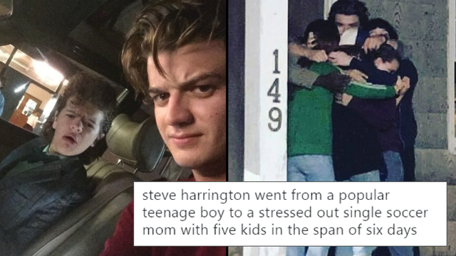 Steve Harrington Is The Internet S New Fave Dad And The Memes Are
