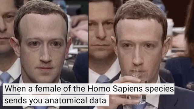 Mark Zuckerberg Congressional hearing meme
