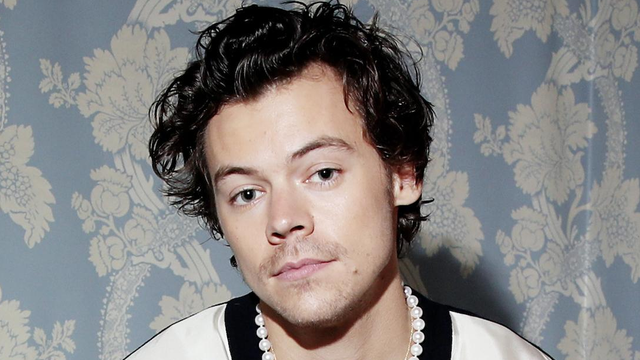 Harry Styles | Latest News, Features and Quizzes | PopBuzz