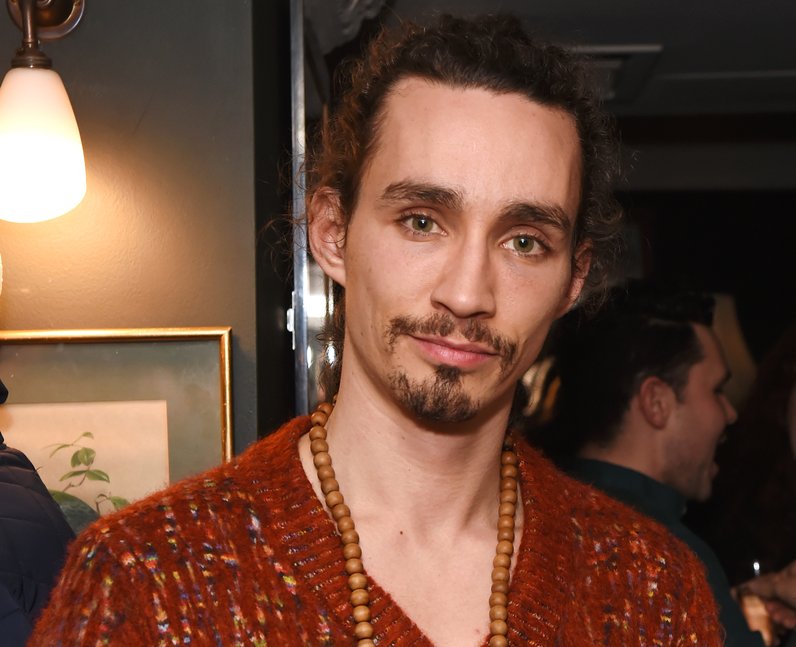 Is Robert Sheehan gay? What is his sexuality? 